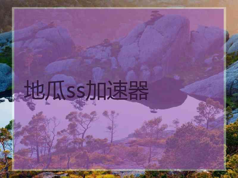 地瓜ss加速器