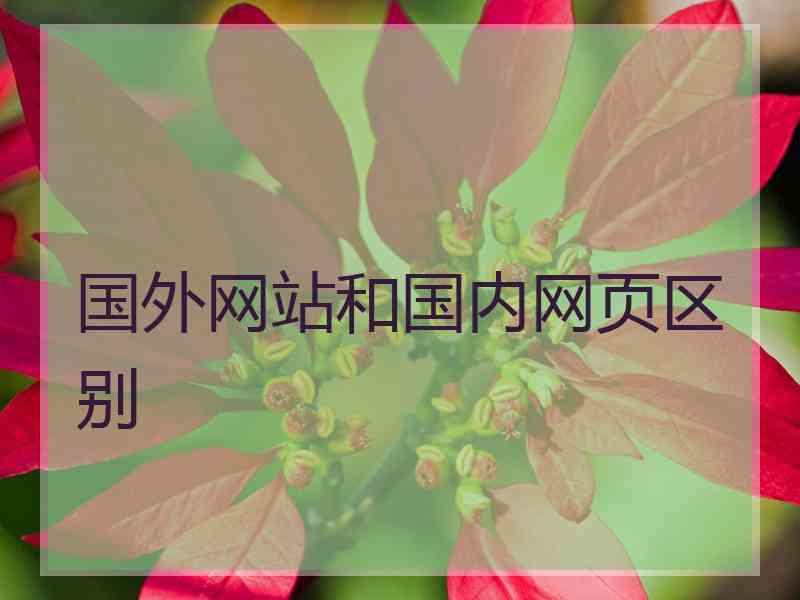 国外网站和国内网页区别