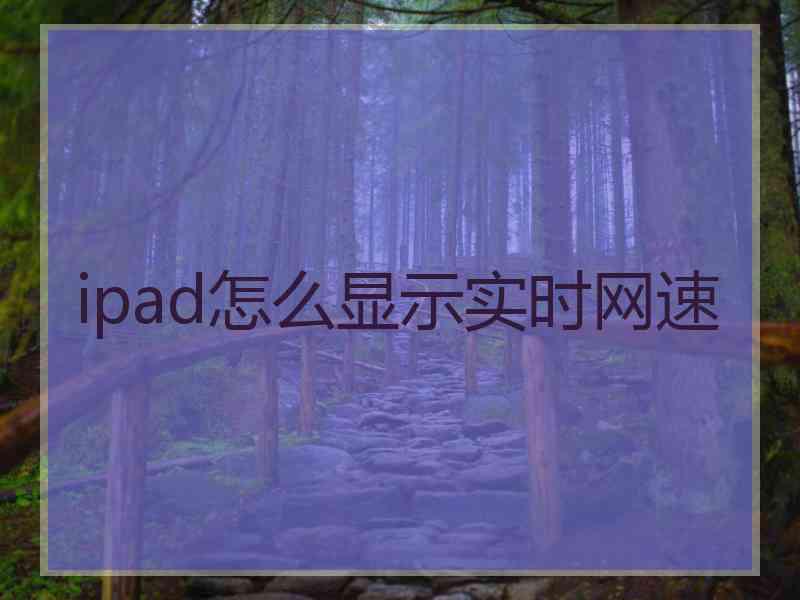 ipad怎么显示实时网速
