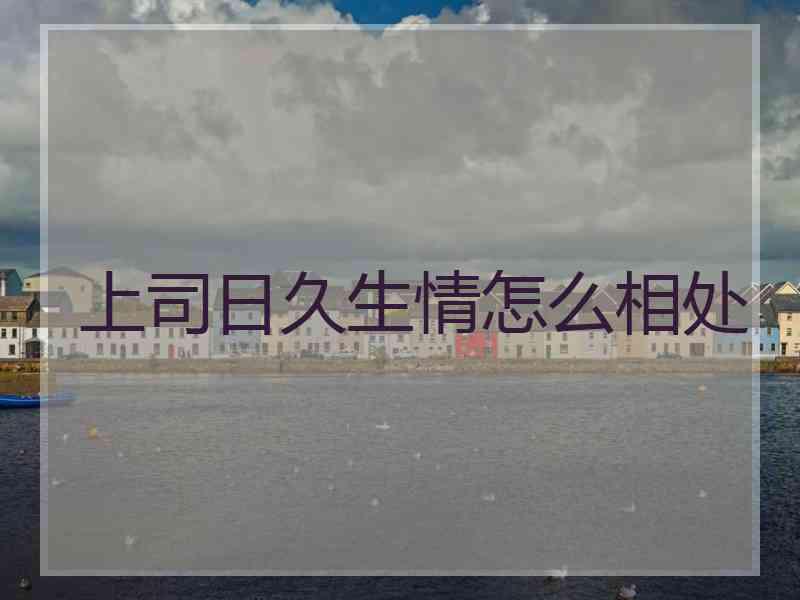 上司日久生情怎么相处