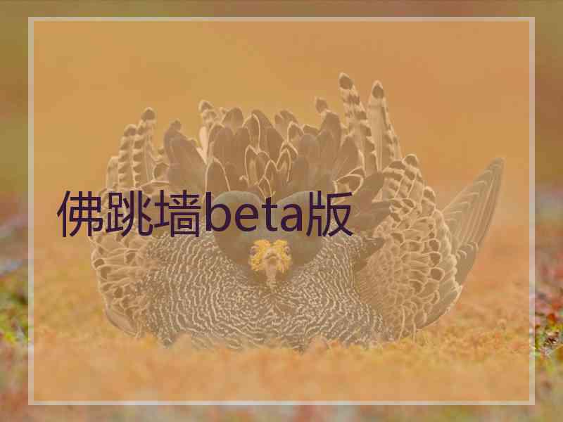 佛跳墙beta版