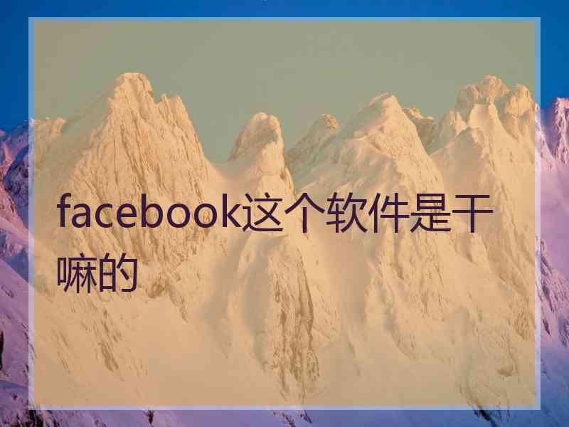 facebook这个软件是干嘛的