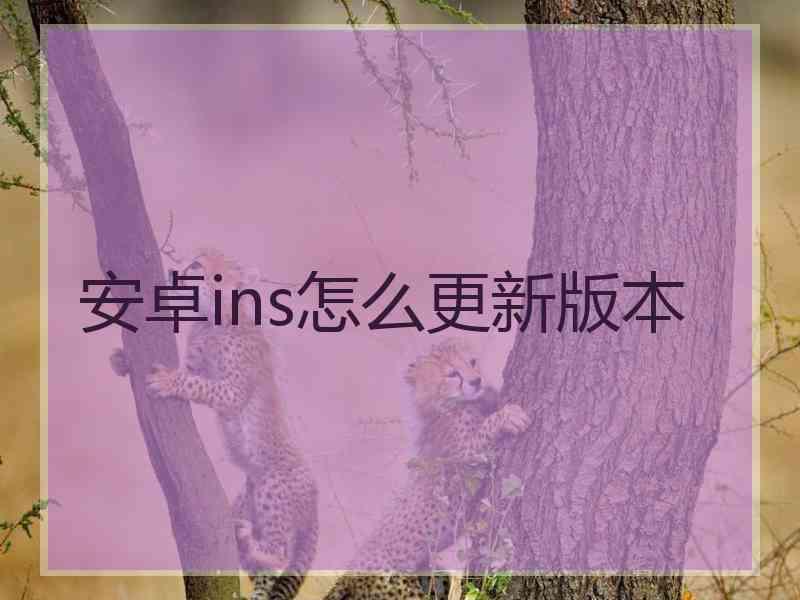 安卓ins怎么更新版本