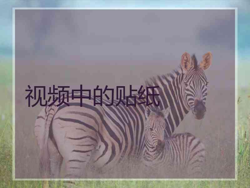 视频中的贴纸