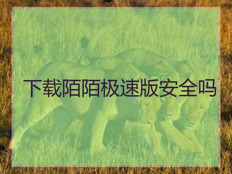 下载陌陌极速版安全吗