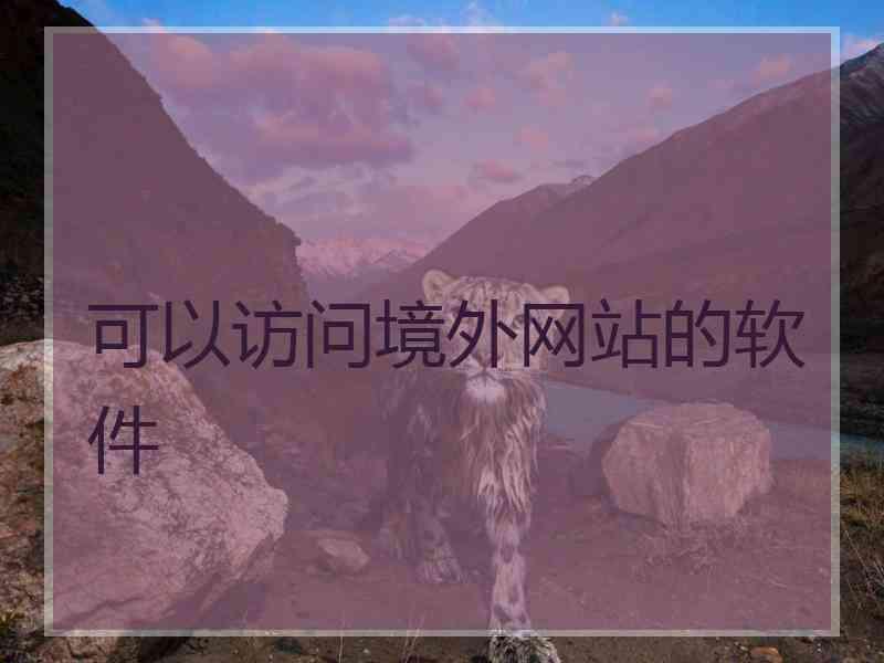 可以访问境外网站的软件