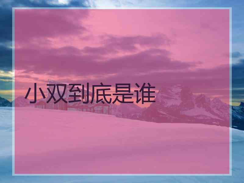 小双到底是谁