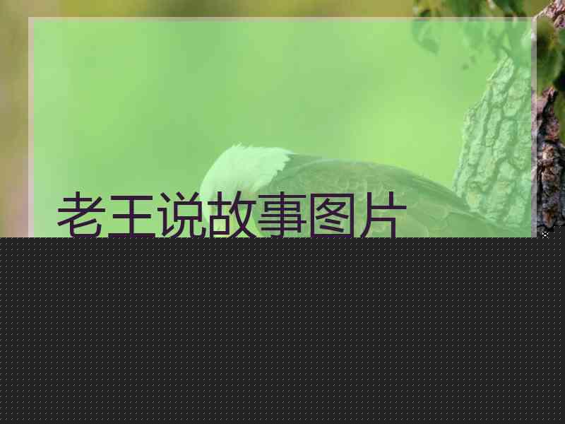 老王说故事图片