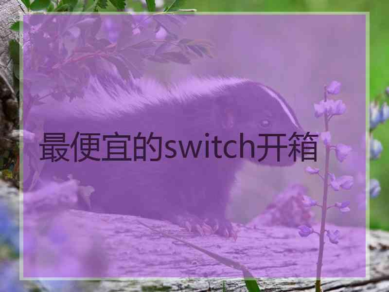 最便宜的switch开箱