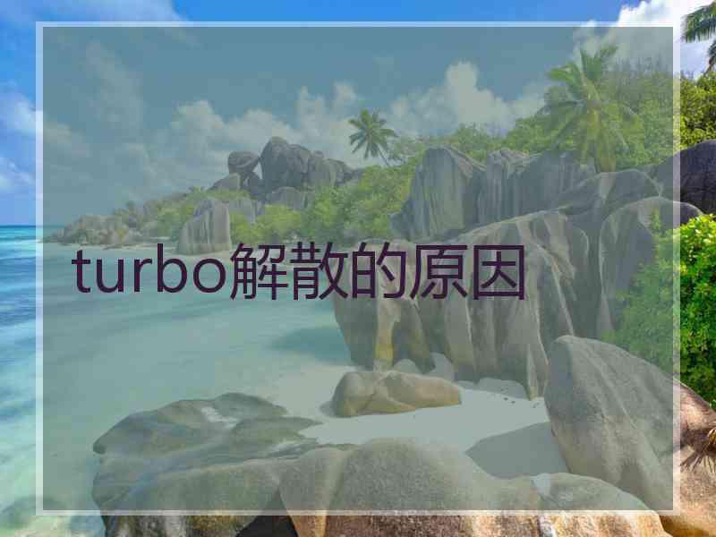 turbo解散的原因