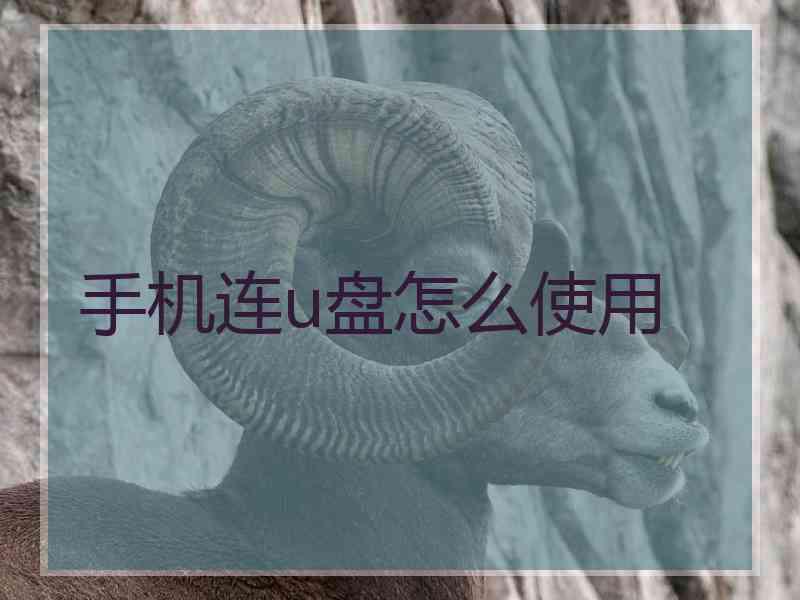 手机连u盘怎么使用