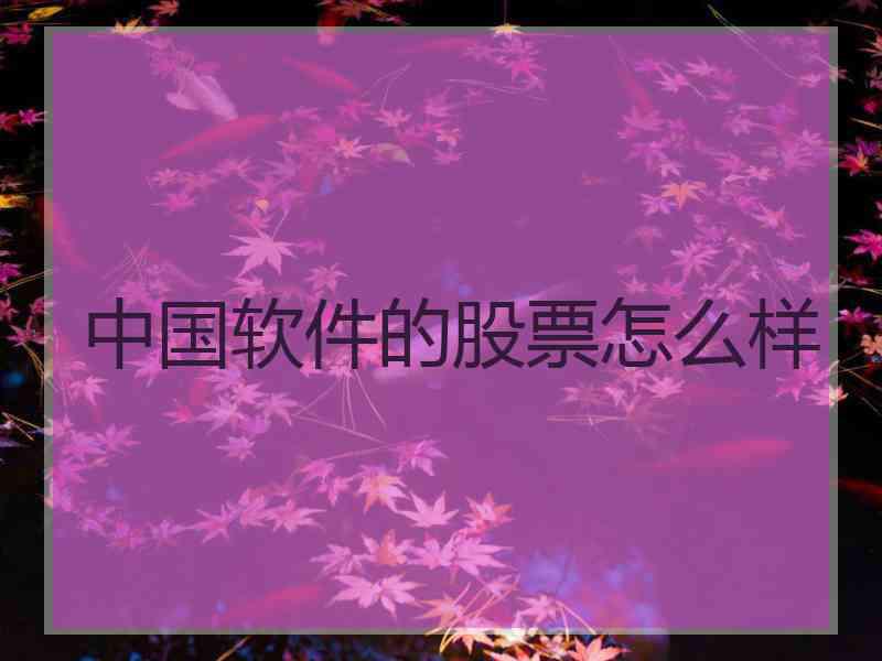 中国软件的股票怎么样