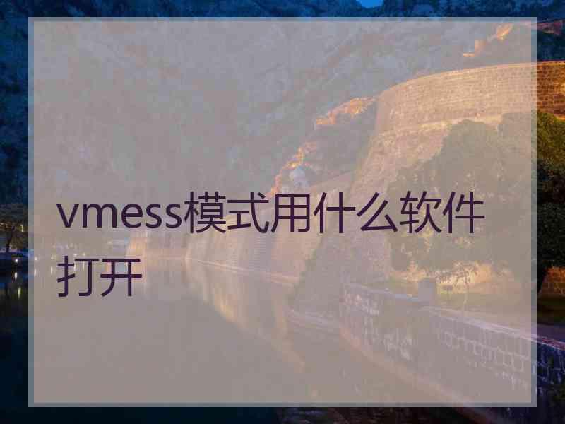 vmess模式用什么软件打开