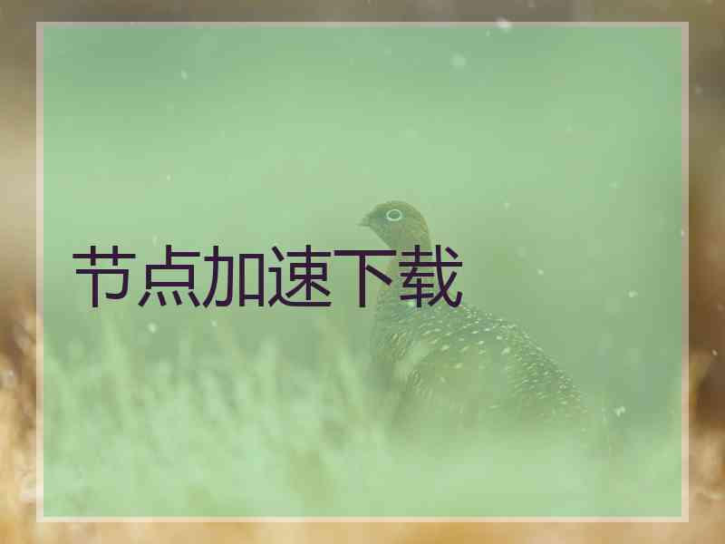 节点加速下载