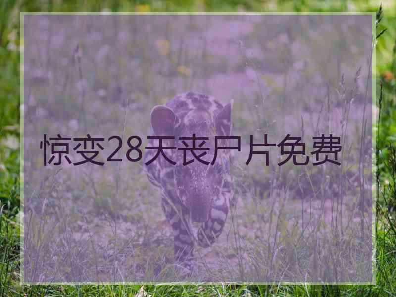惊变28天丧尸片免费