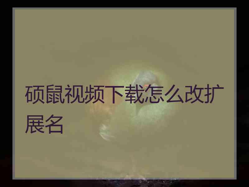 硕鼠视频下载怎么改扩展名