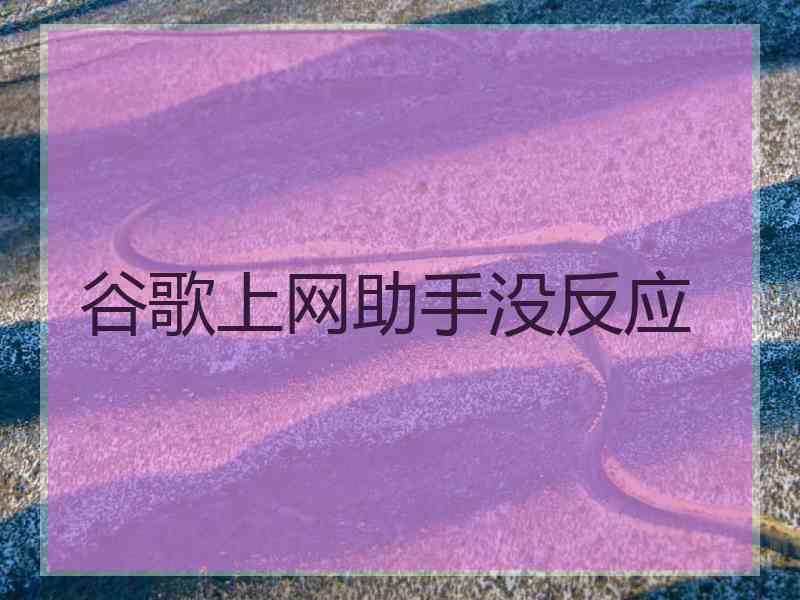 谷歌上网助手没反应