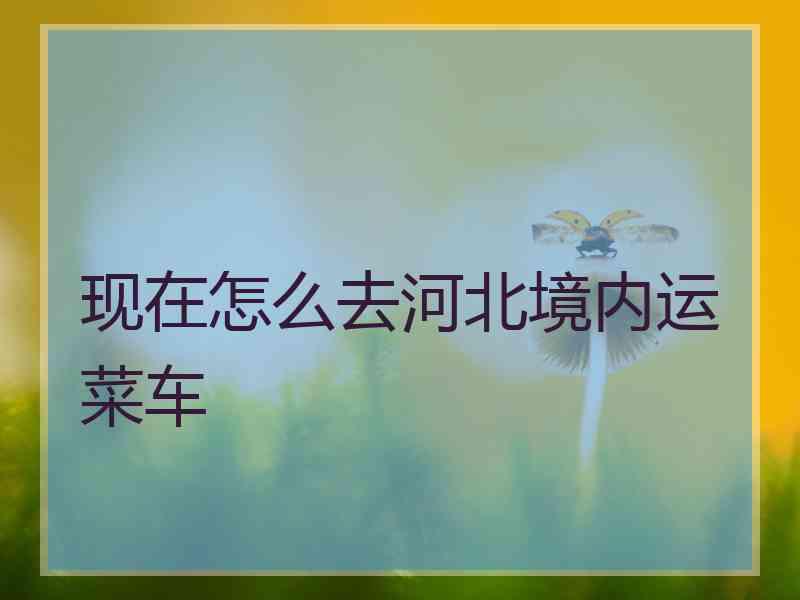 现在怎么去河北境内运菜车