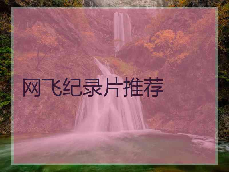网飞纪录片推荐