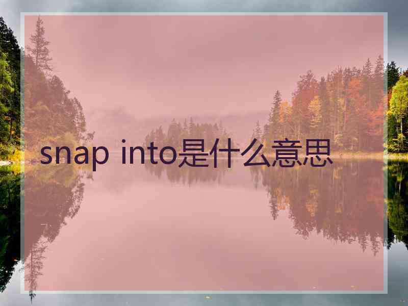 snap into是什么意思