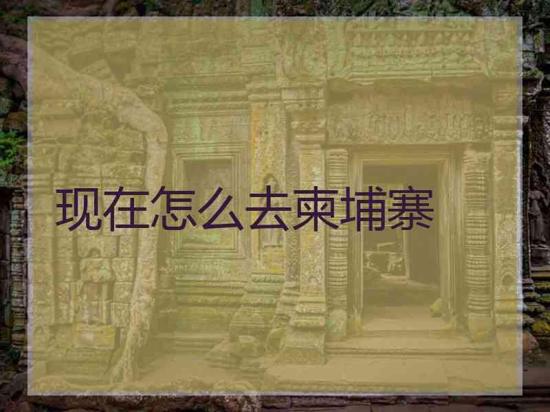 现在怎么去柬埔寨