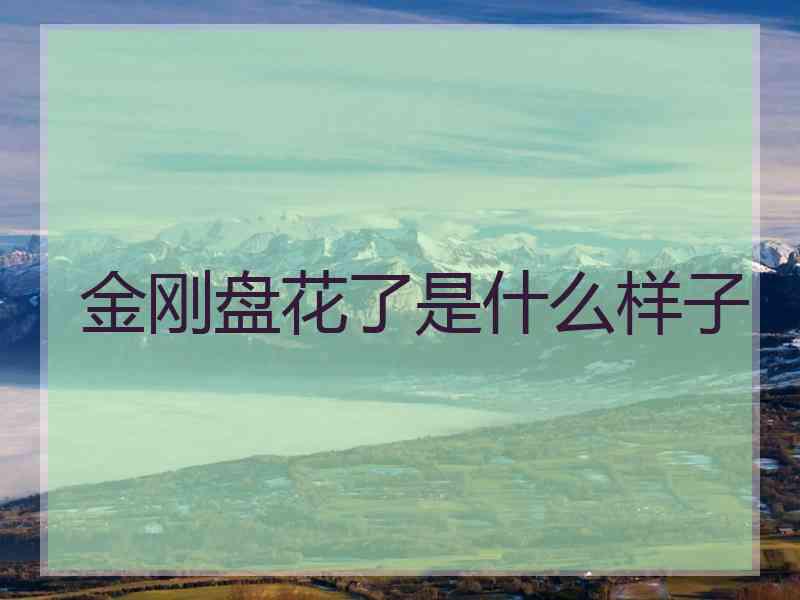 金刚盘花了是什么样子