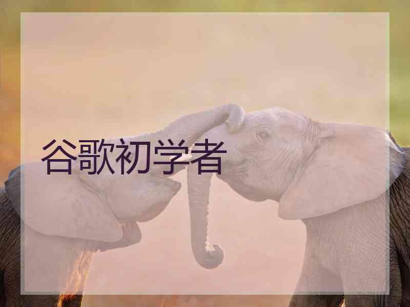 谷歌初学者