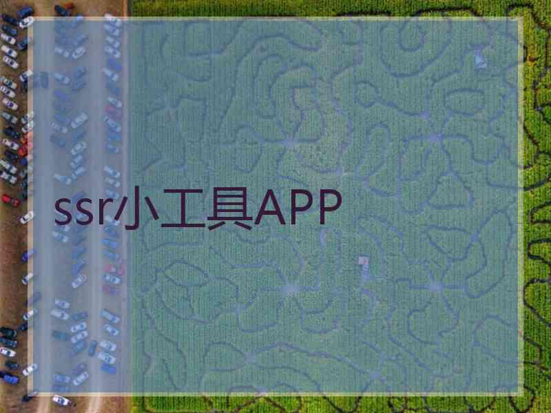 ssr小工具APP