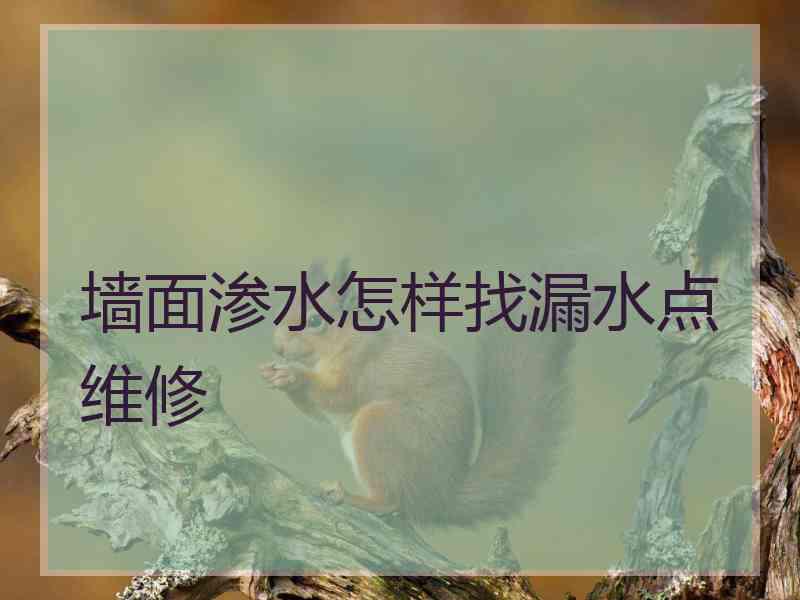 墙面渗水怎样找漏水点维修