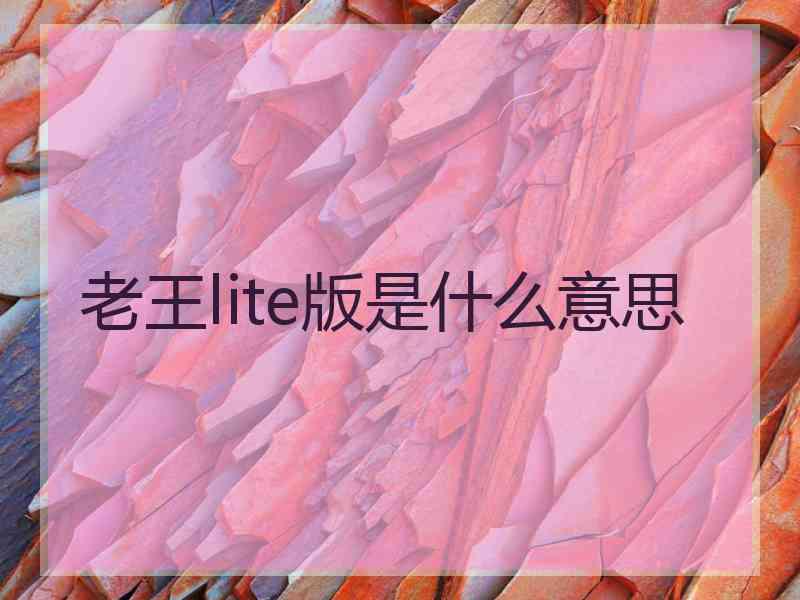 老王lite版是什么意思