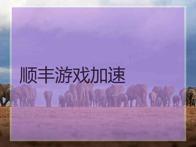顺丰游戏加速