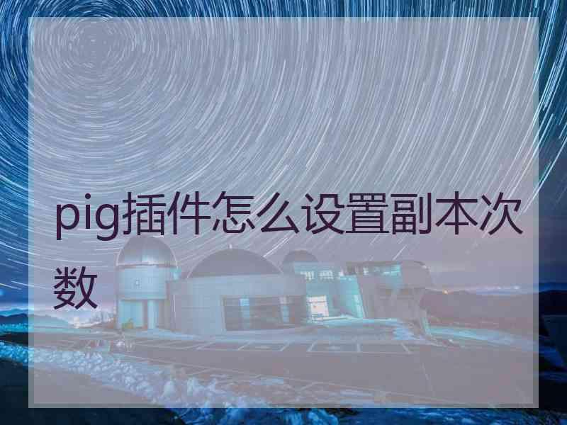 pig插件怎么设置副本次数