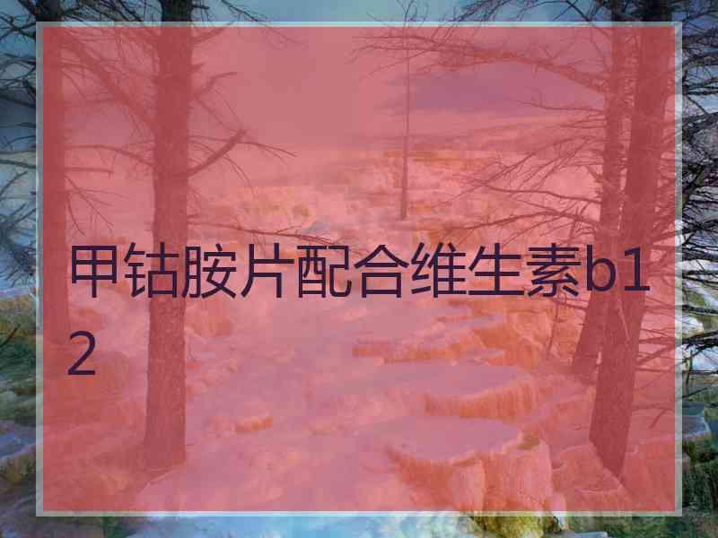 甲钴胺片配合维生素b12