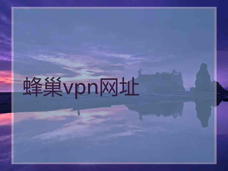 蜂巢vpn网址