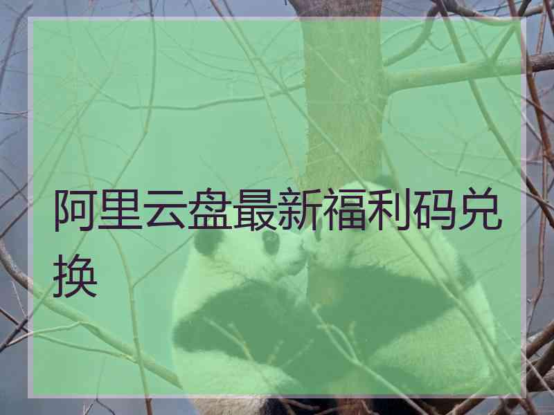 阿里云盘最新福利码兑换