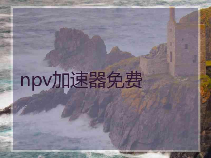 npv加速器免费