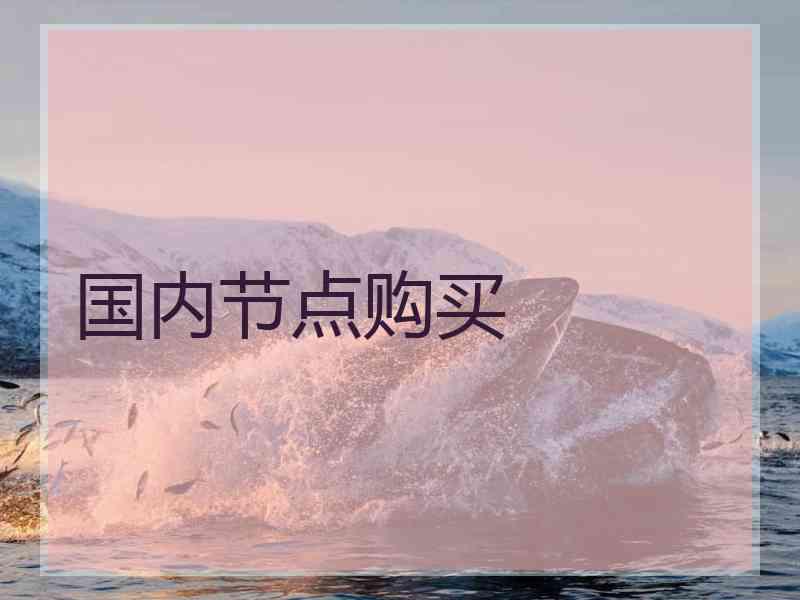 国内节点购买