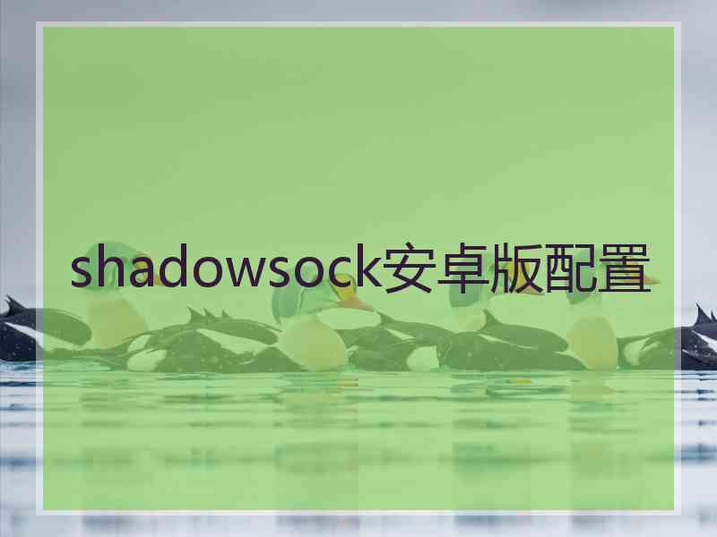 shadowsock安卓版配置