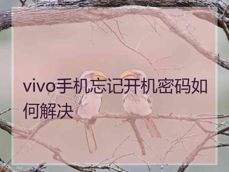 vivo手机忘记开机密码如何解决
