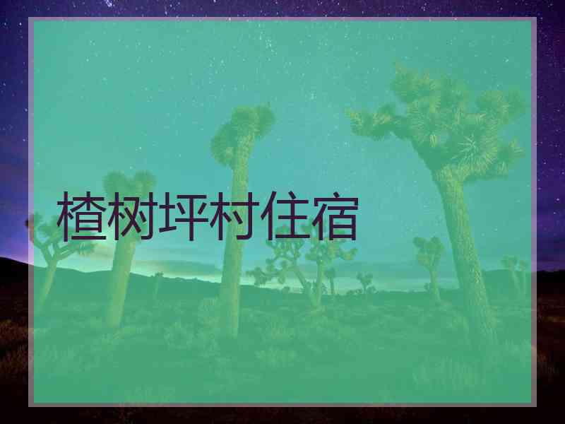 楂树坪村住宿