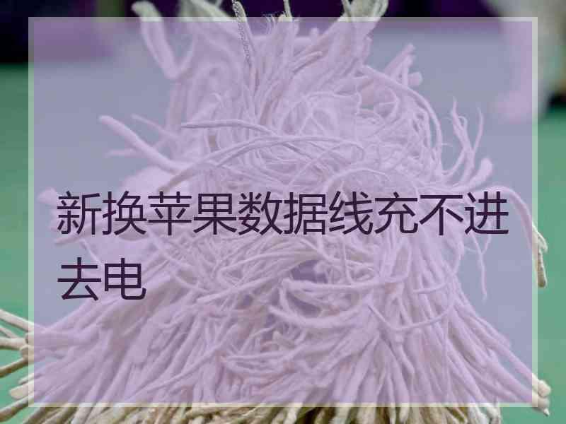 新换苹果数据线充不进去电