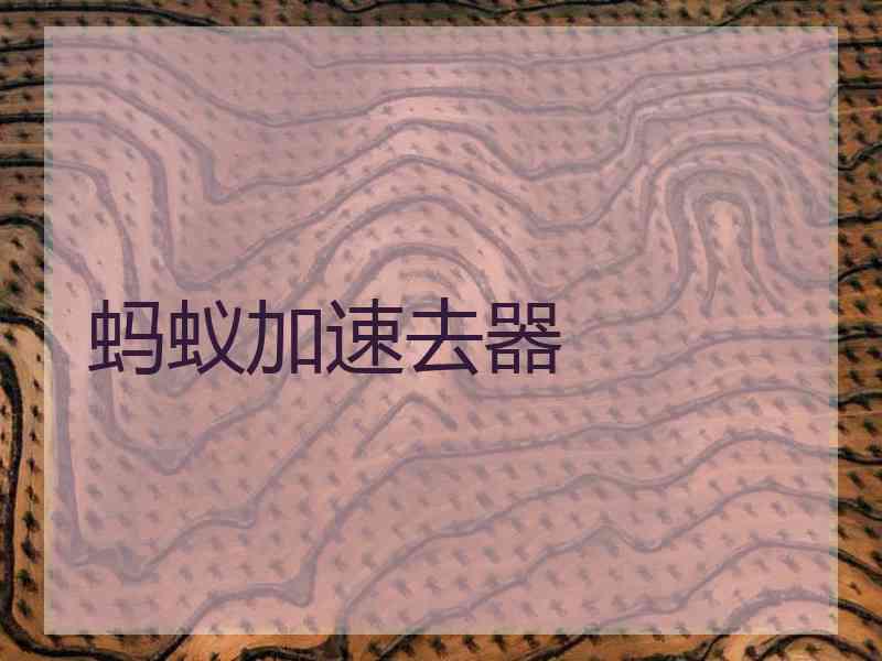 蚂蚁加速去器