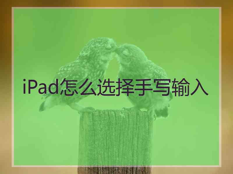 iPad怎么选择手写输入