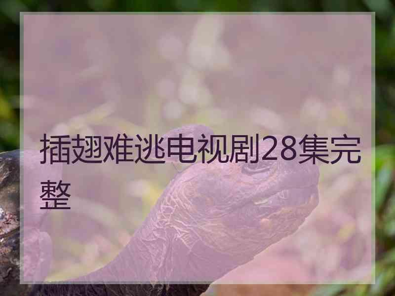 插翅难逃电视剧28集完整