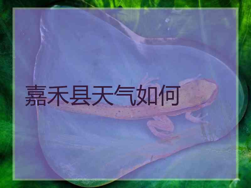 嘉禾县天气如何