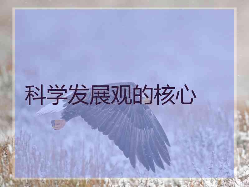 科学发展观的核心