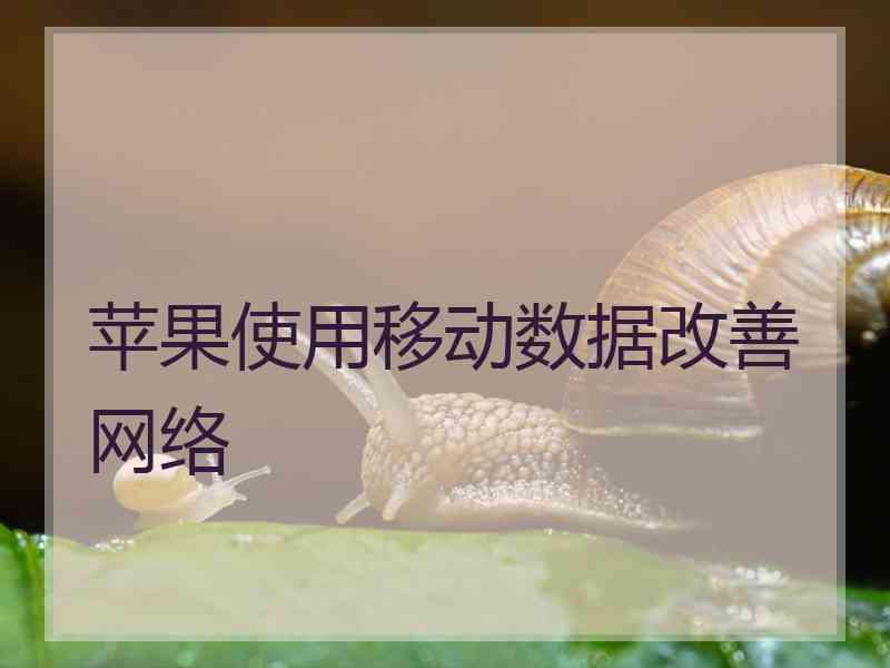 苹果使用移动数据改善网络