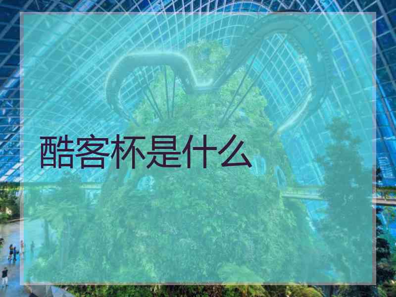 酷客杯是什么