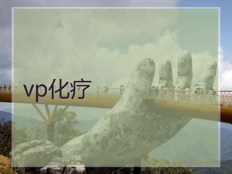 vp化疗