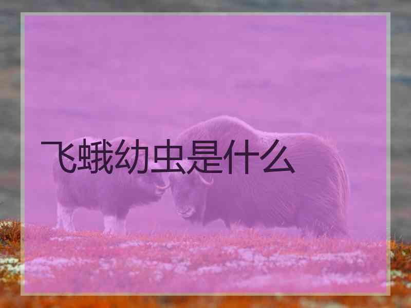 飞蛾幼虫是什么